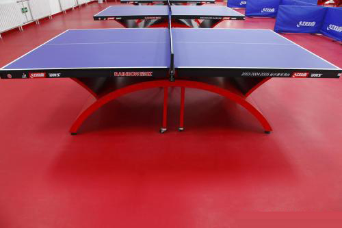 桌球场地胶定制