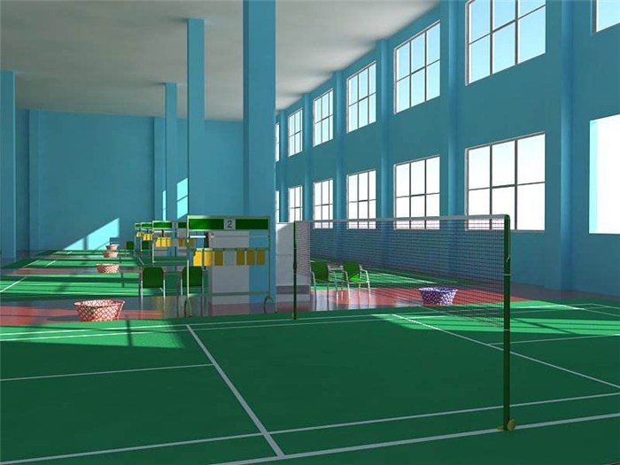 体育馆球场地胶价格