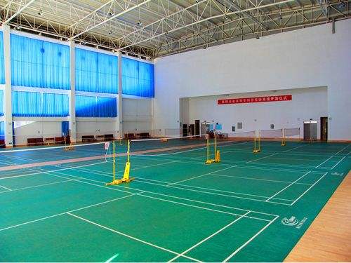 体育馆球场地胶公司