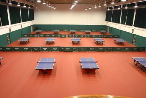 桌球场地胶多少钱一平米